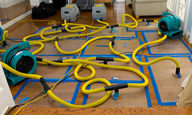 Professional Basement Flood Cleanup technician working in Gypsum, OH