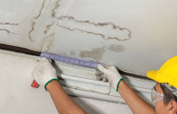 Affordable Basement Flood Cleanup solutions in Gypsum, OH